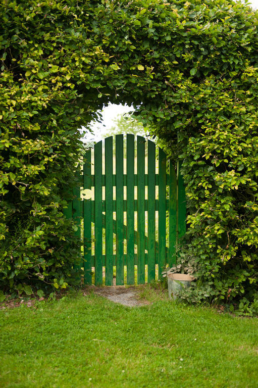 Fort House Bed & Breakfast Kilbeggan Luaran gambar