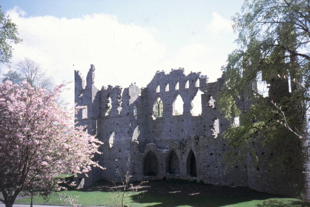 Fort House Bed & Breakfast Kilbeggan Luaran gambar